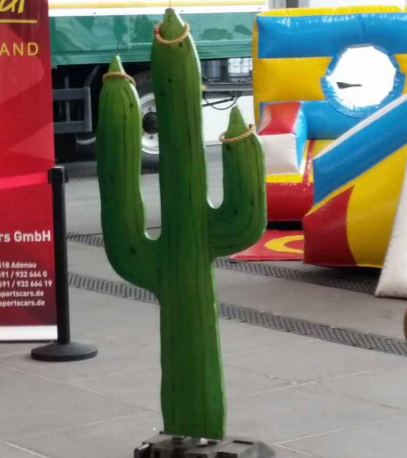Kaktus werfen