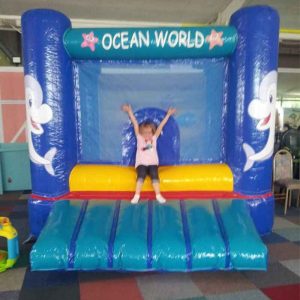 Der Spassmacher Hüpfburg Bällehaus Ocean World