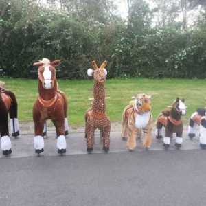 Der Spassmacher Lustige Reittiere mit 6 Tieren