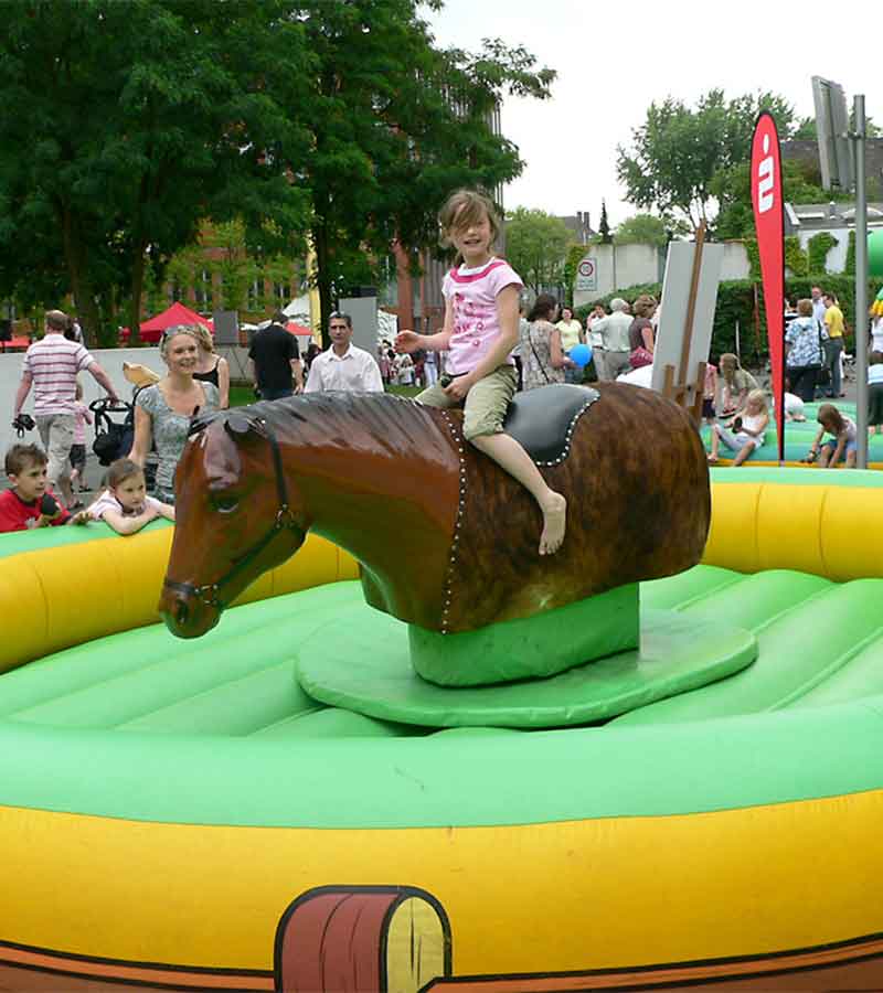 Der Spassmacher Rodeopferd