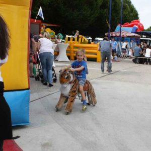 Der Spassmacher Lustige Reittiere mit 6 Tieren