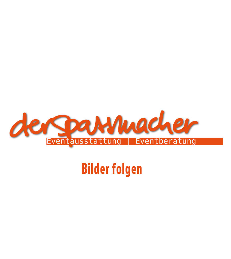 Der Spassmacher Skateboard Simulator